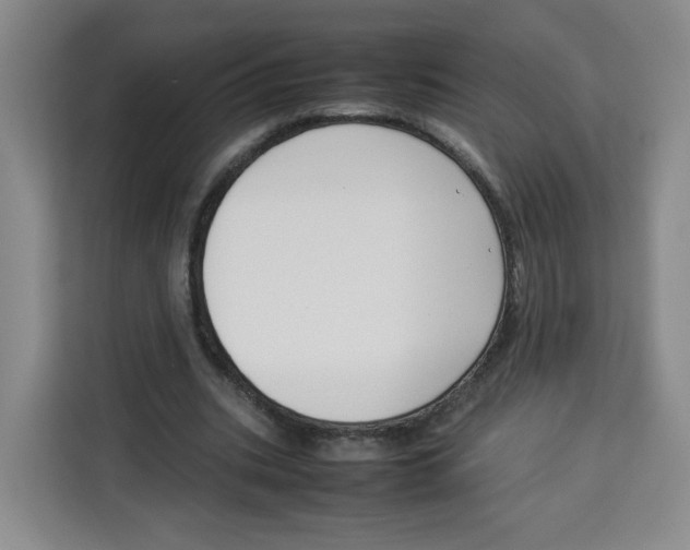 X0000113910535200910221335