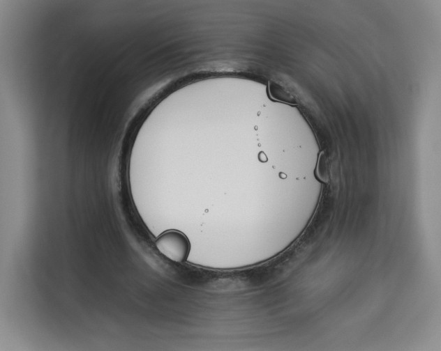 X0000113910536200910221335