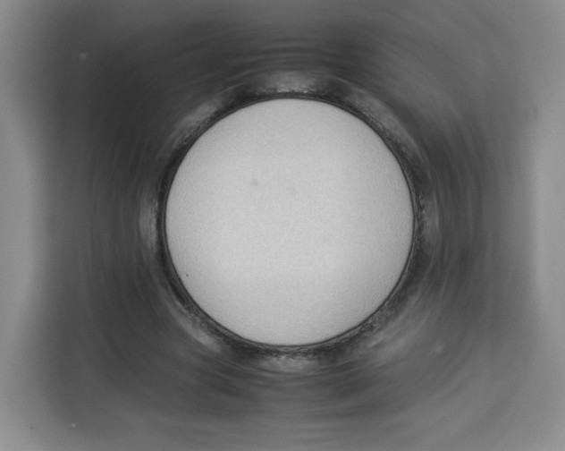 X0000113910537200910221335