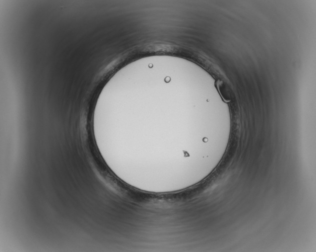 X0000113910538200910221335