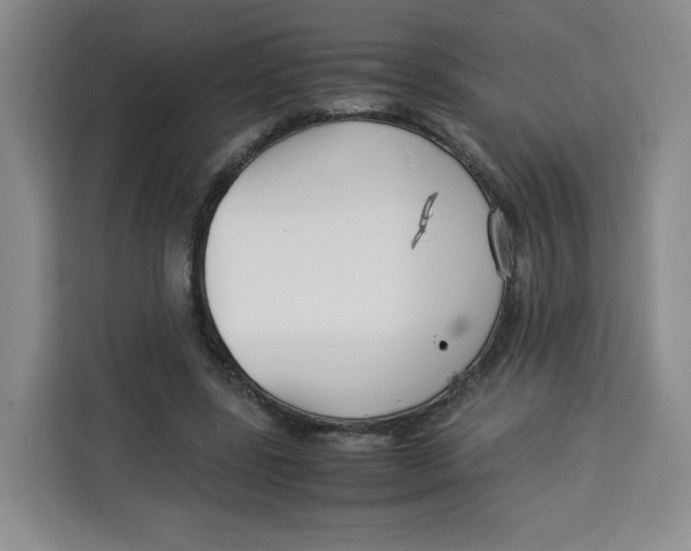 X0000113910539200910221335