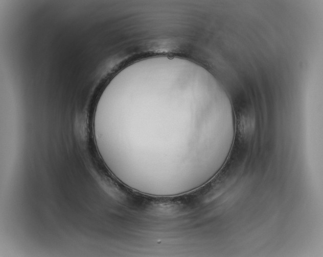 X0000113910540200910221335