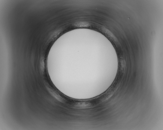 X0000113910541200910221335