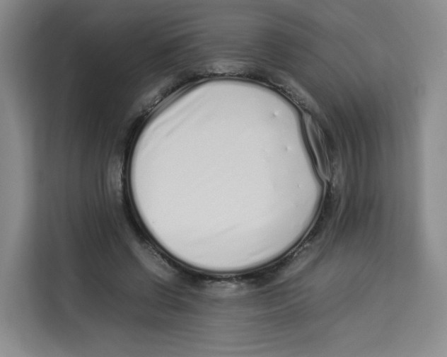 X0000113910542200910221335