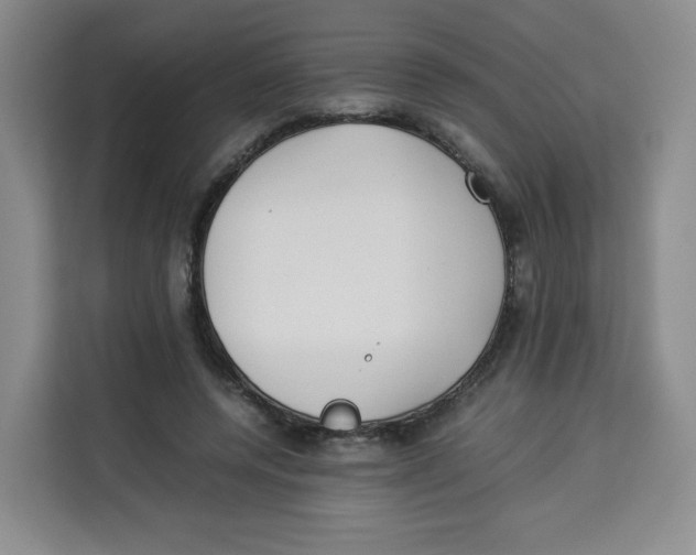 X0000113910544200910221335