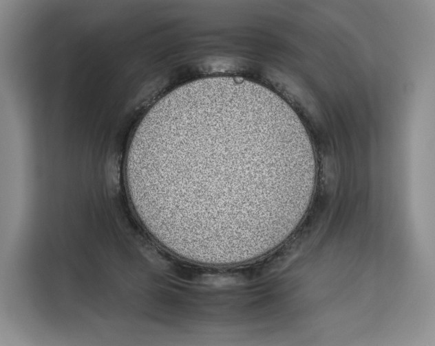X0000113910545200910221335