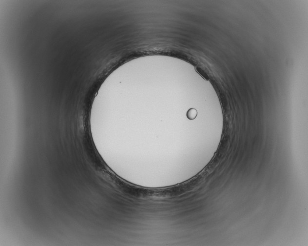 X0000113910546200910221335
