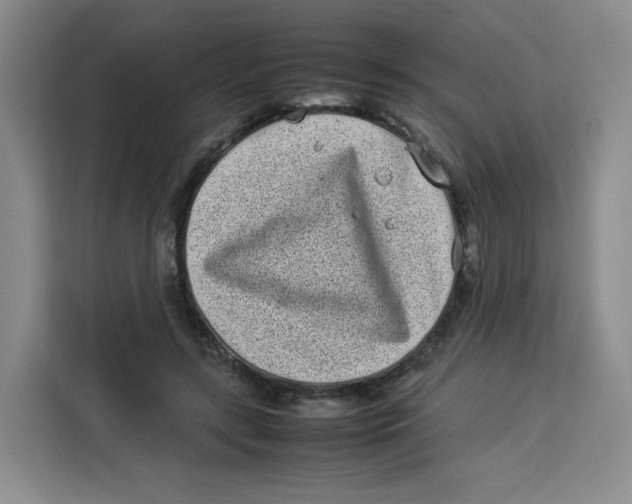 X0000113910547200910221335