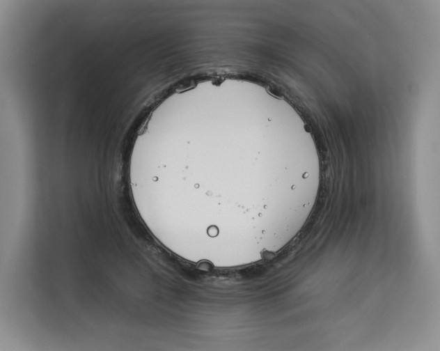 X0000113910548200910221335
