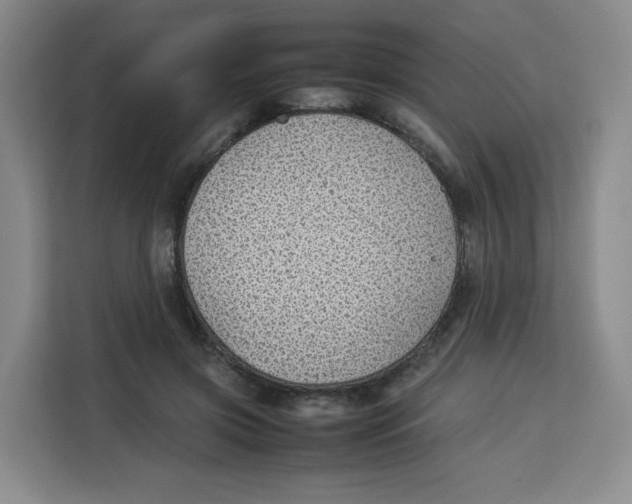 X0000113910549200910221335