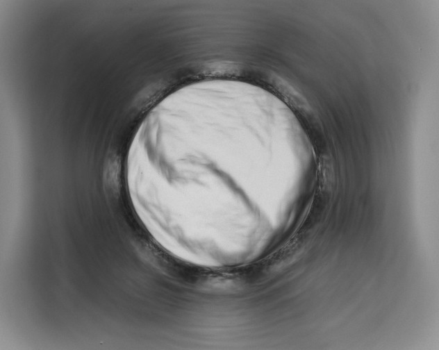 X0000113910550200910221335