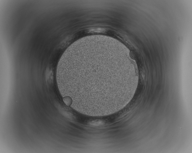 X0000113910551200910221335
