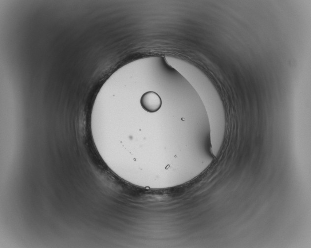 X0000113910552200910221335