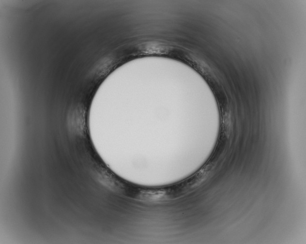 X0000113910554200910221336