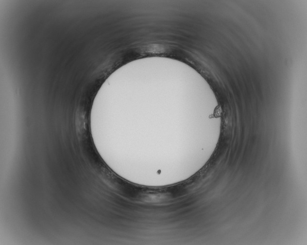 X0000113910555200910221336