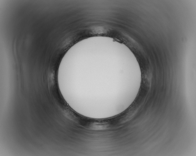 X0000113910556200910221336