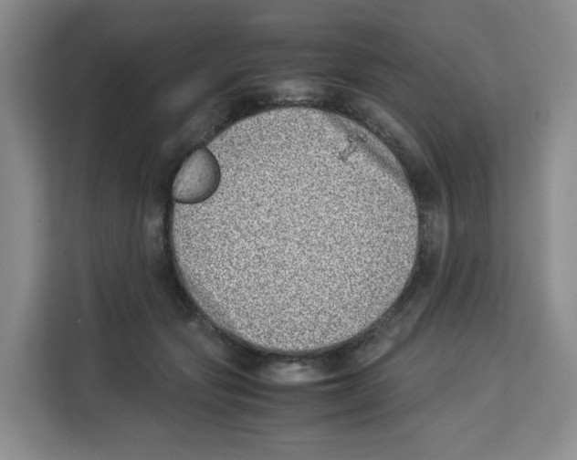 X0000113910557200910221336