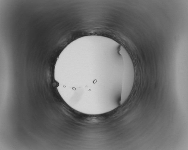 X0000113910558200910221336