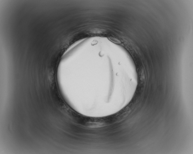X0000113910559200910221336