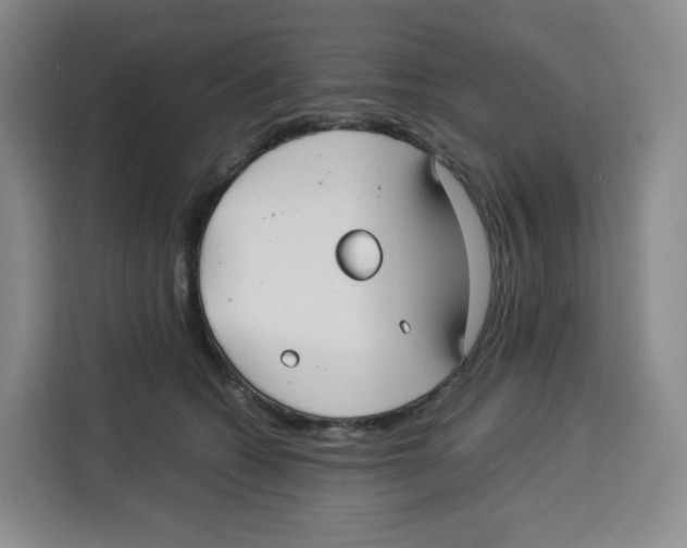 X0000113910562200910221336