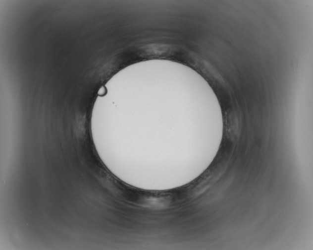 X0000113910563200910221336