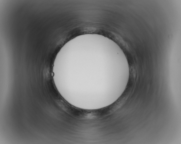X0000113910564200910221336