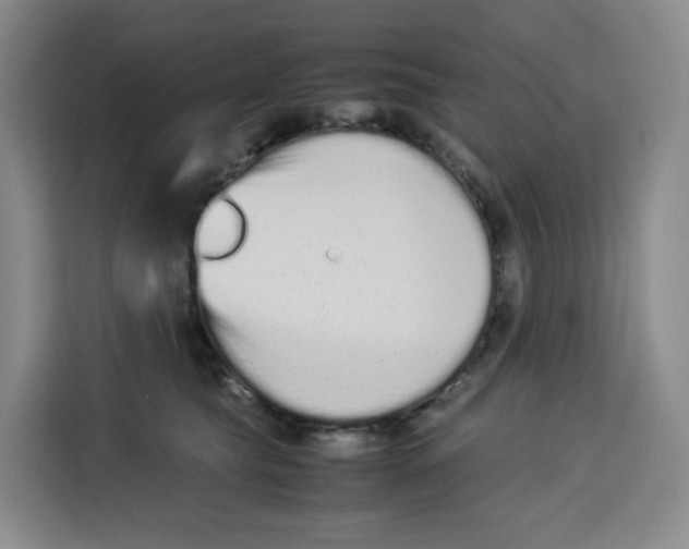 X0000113910565200910221336