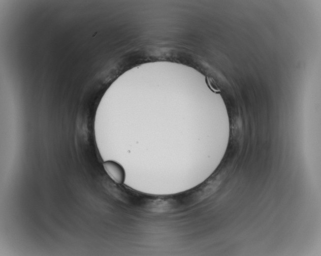 X0000113910566200910221336
