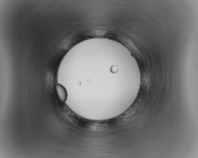 X0000113910568200910221336