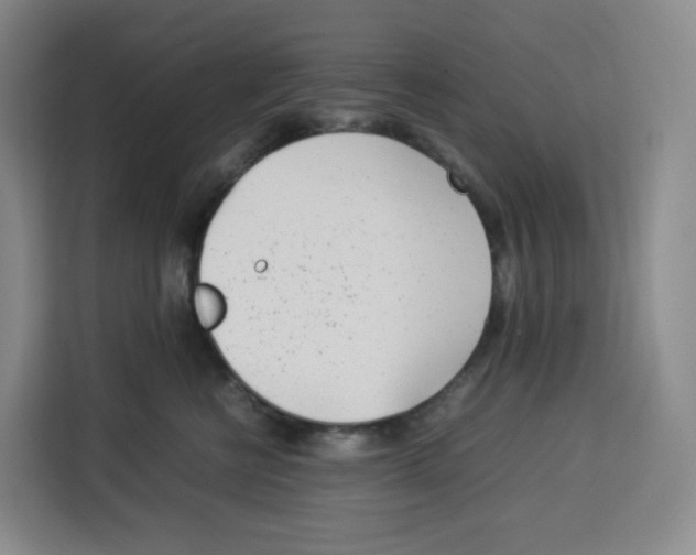 X0000113910570200910221336