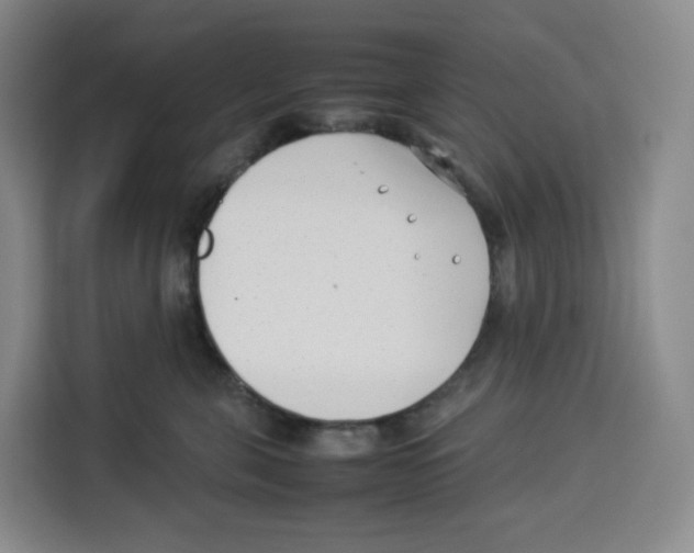 X0000113910571200910221336