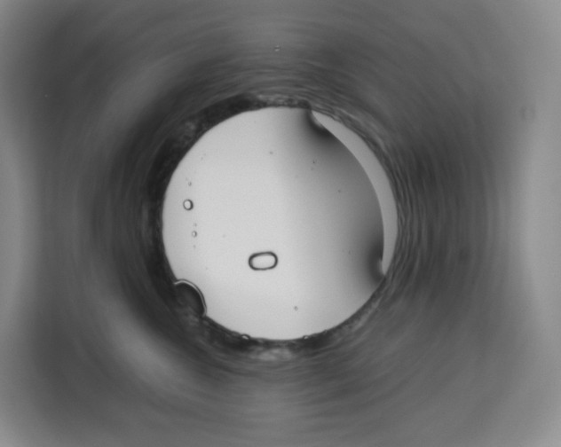 X0000113910572200910221336