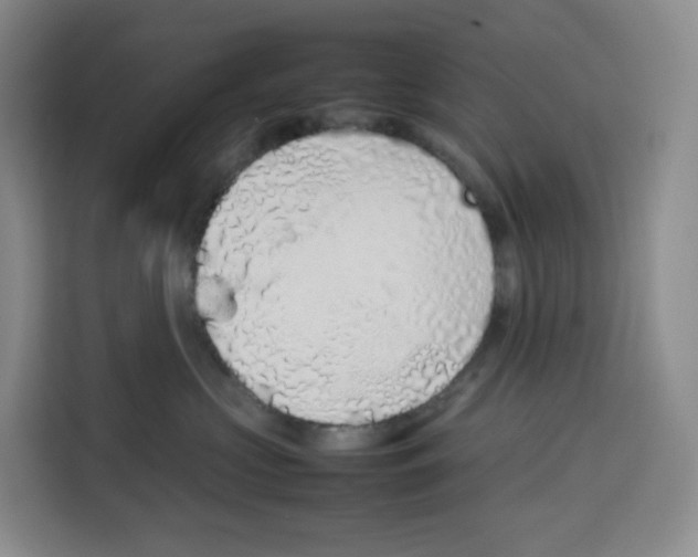 X0000113910573200910221336
