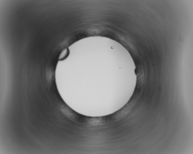 X0000113910574200910221336