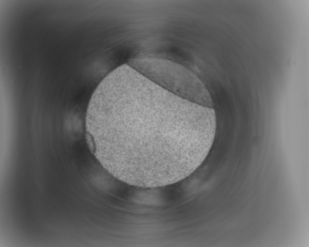 X0000113910576200910221336