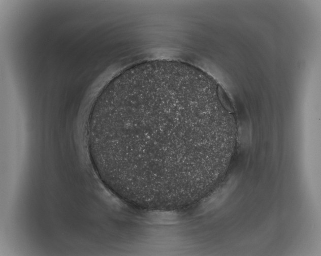 X0000113910577200910221335