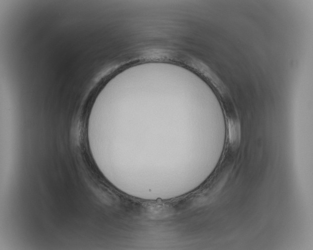 X0000113910579200910221335