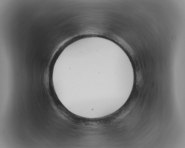X0000113910580200910221335