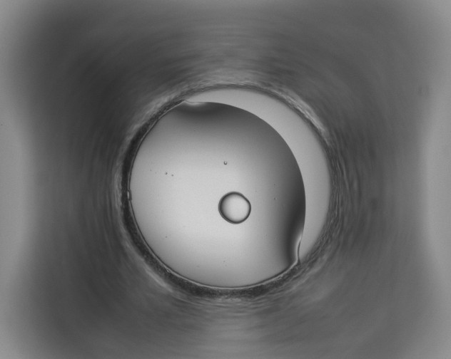 X0000113910581200910221335