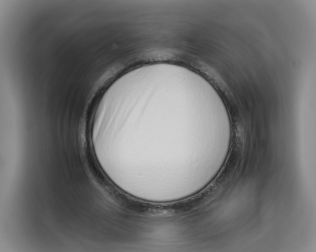X0000113910582200910221335