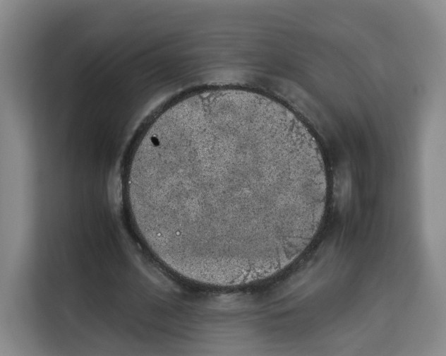 X0000113910584200910221335