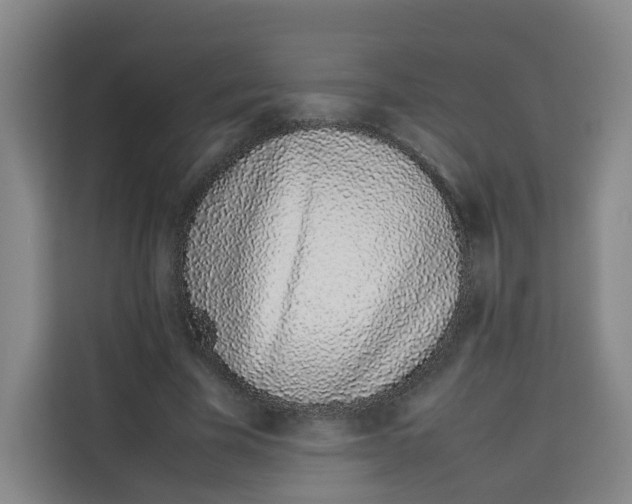 X0000113910585200910221335