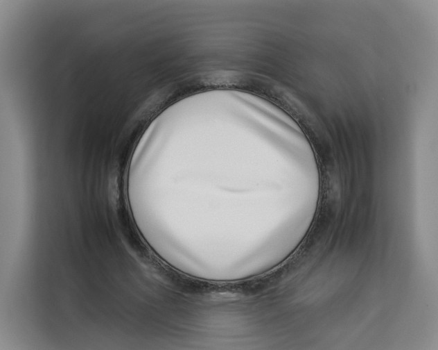 X0000113910586200910221335