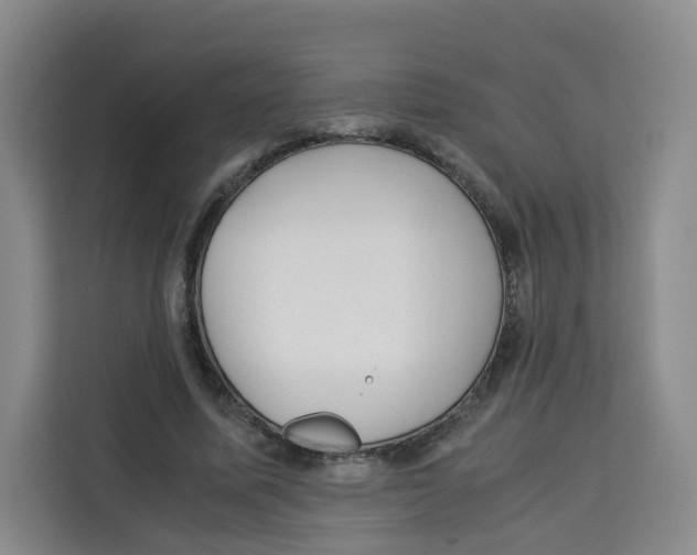 X0000113910587200910221335
