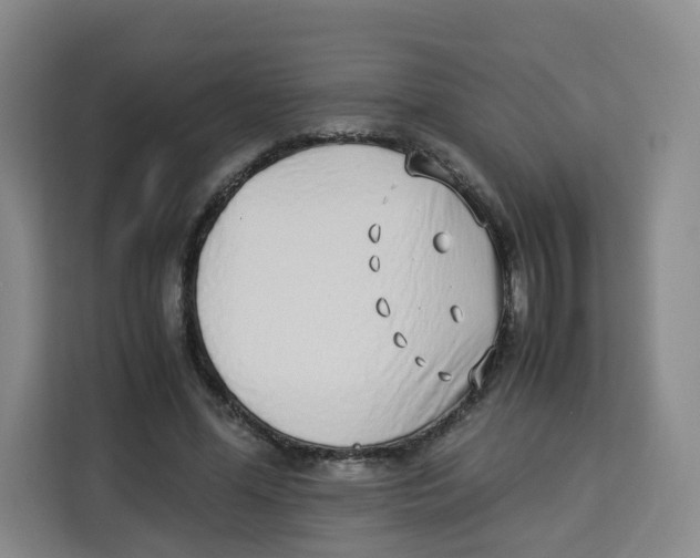 X0000113910588200910221335