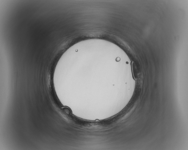X0000113910589200910221335