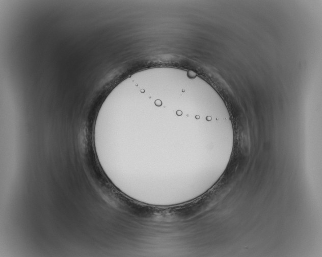 X0000113910591200910221335