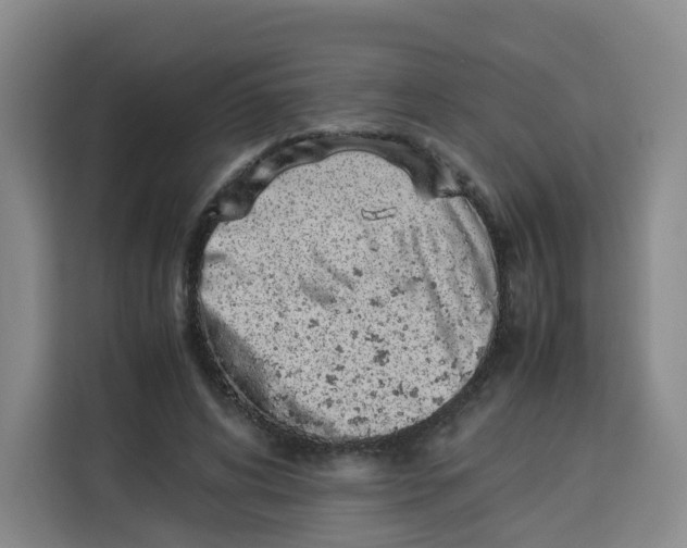 X0000113910592200910221335
