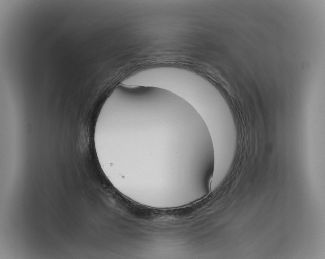 X0000113910593200910221335