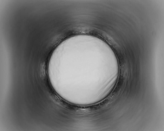 X0000113910594200910221335